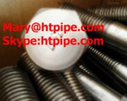 Inconel 690 2. 4642 Máy giặt Bolt Nut