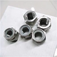 Incoloy 800 DIN 934 Hex Nut